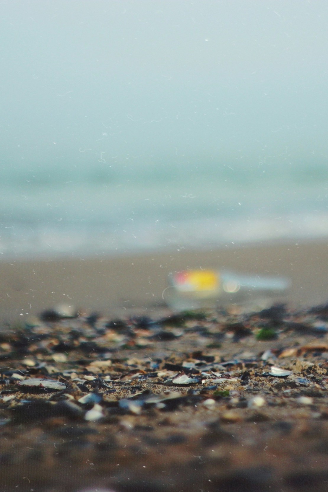 plastic litter image