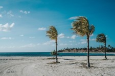 Photo by David Troeger on Unsplash