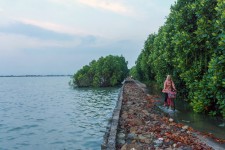 Dhana Kencana / Climate Visuals