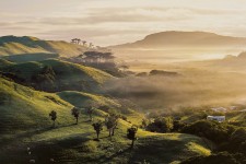 Photo by Boon Panthalany on Unsplash